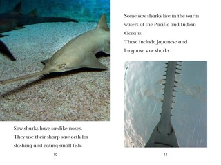 Sample content 4_TIME for Kids: Sharks