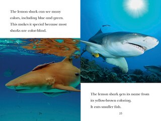 Sample content_TIME for Kids: Sharks