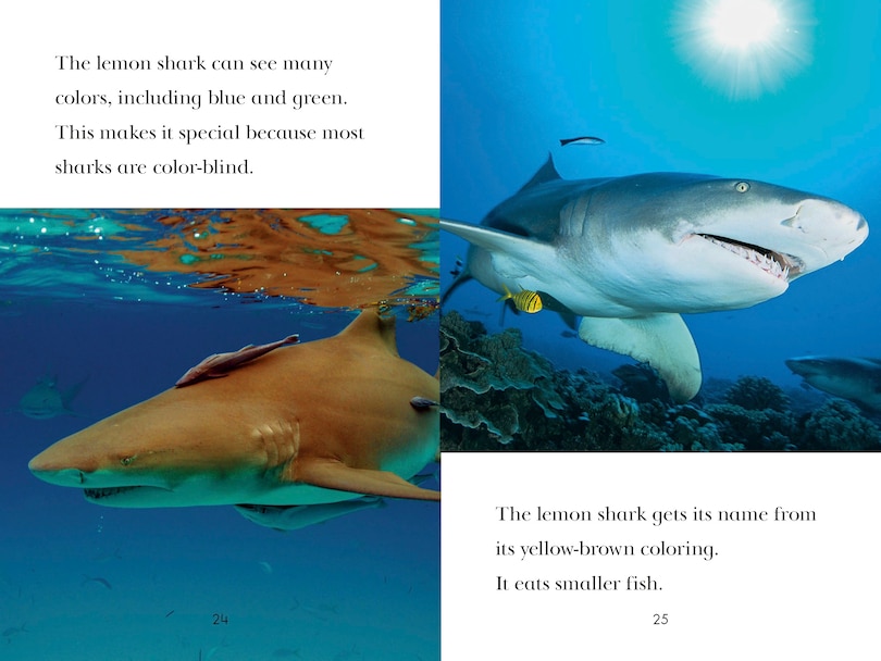 Sample content_TIME for Kids: Sharks