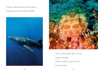 Sample content 2_TIME for Kids: Sharks