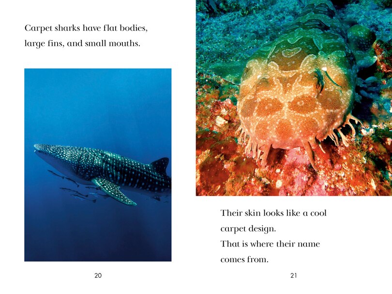 Sample content 2_TIME for Kids: Sharks