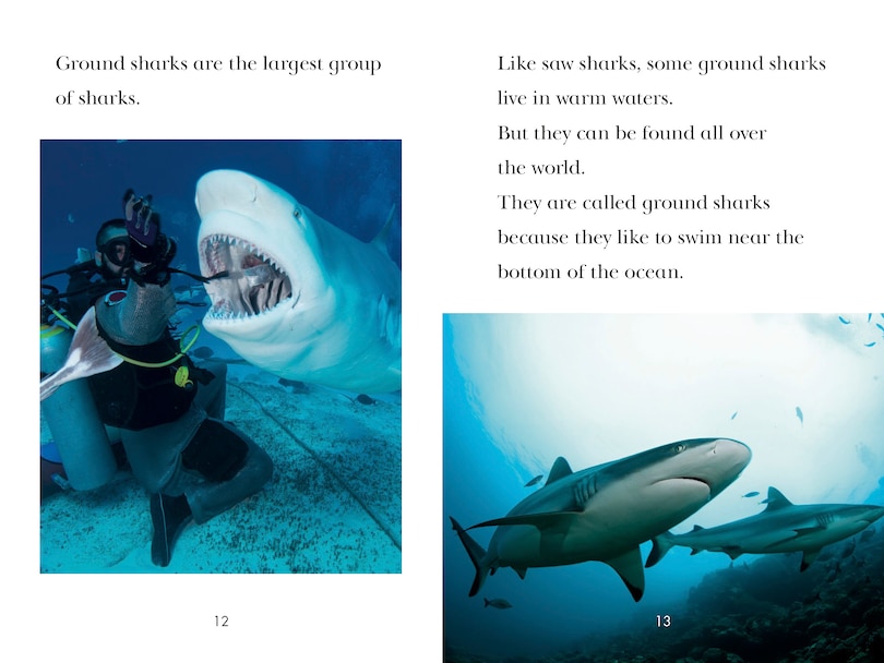 Sample content 3_TIME for Kids: Sharks