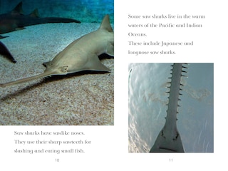 Sample content 4_TIME for Kids: Sharks