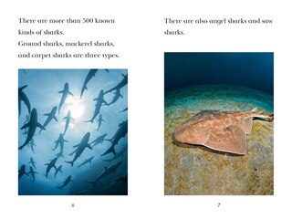 Sample content 5_TIME for Kids: Sharks
