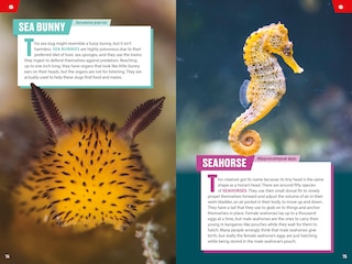 Sample content 5_TIME for Kids: Spectacular Sea Creatures