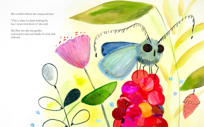 Aper&ccedil;u du contenu 3_Tiny Garden