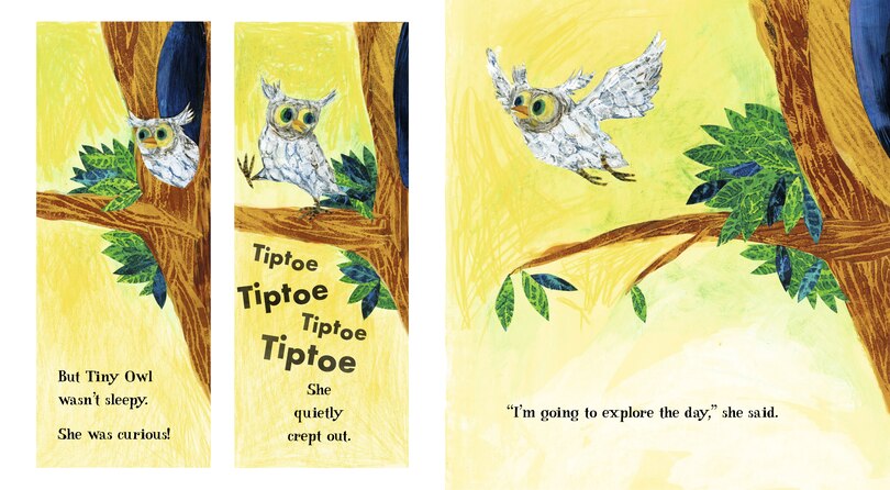 Sample content_Tiny Owl's Scary Day