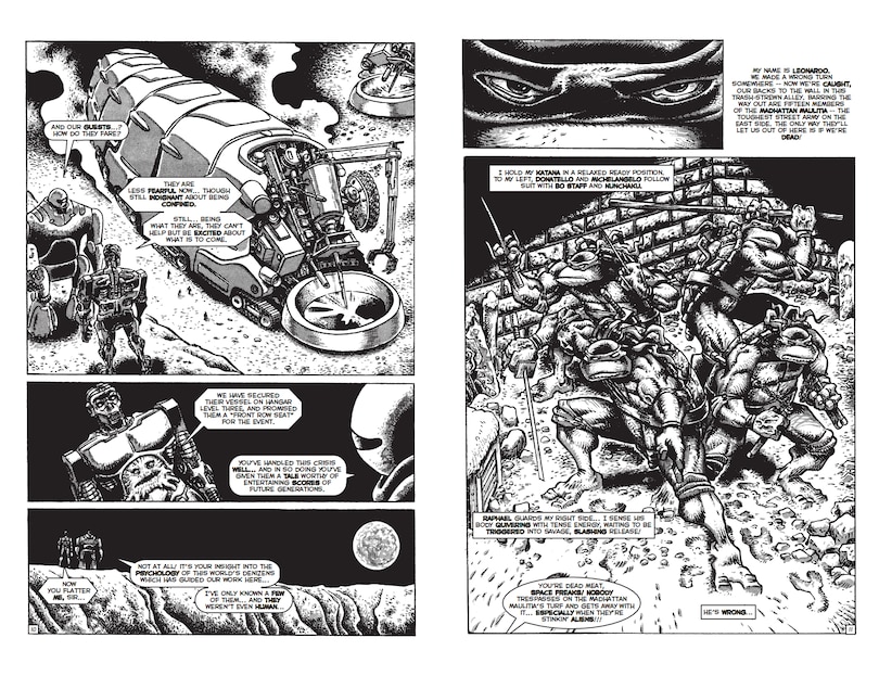 Sample content 2_TMNT: Journeys, Vol. 1