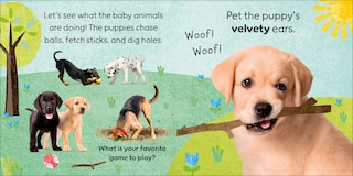 Sample content_Touch and Feel Baby Animals