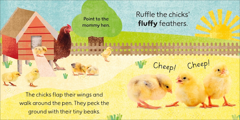 Sample content 3_Touch and Feel Baby Animals