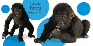 Sample content_Touch And Feel Baby Animals