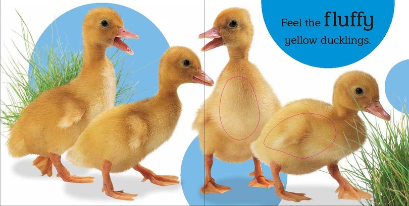 Sample content 2_Touch And Feel Baby Animals