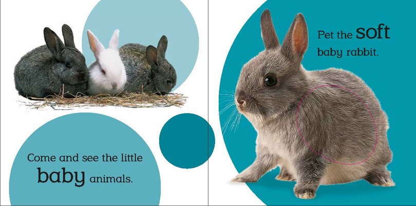 Sample content 3_Touch And Feel Baby Animals
