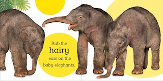 Sample content 5_Touch And Feel Baby Animals