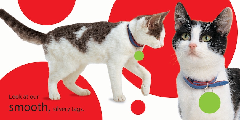 Aper&ccedil;u du contenu_Touch And Feel: Kitten