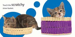 Aper&ccedil;u du contenu 2_Touch And Feel: Kitten