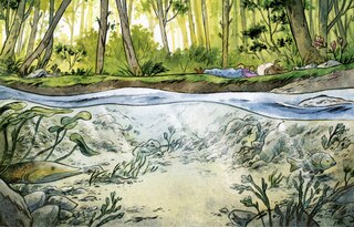 Aper&ccedil;u du contenu 5_TR&Egrave;FLE