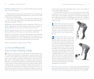 Sample content_Training the Best Dog Ever