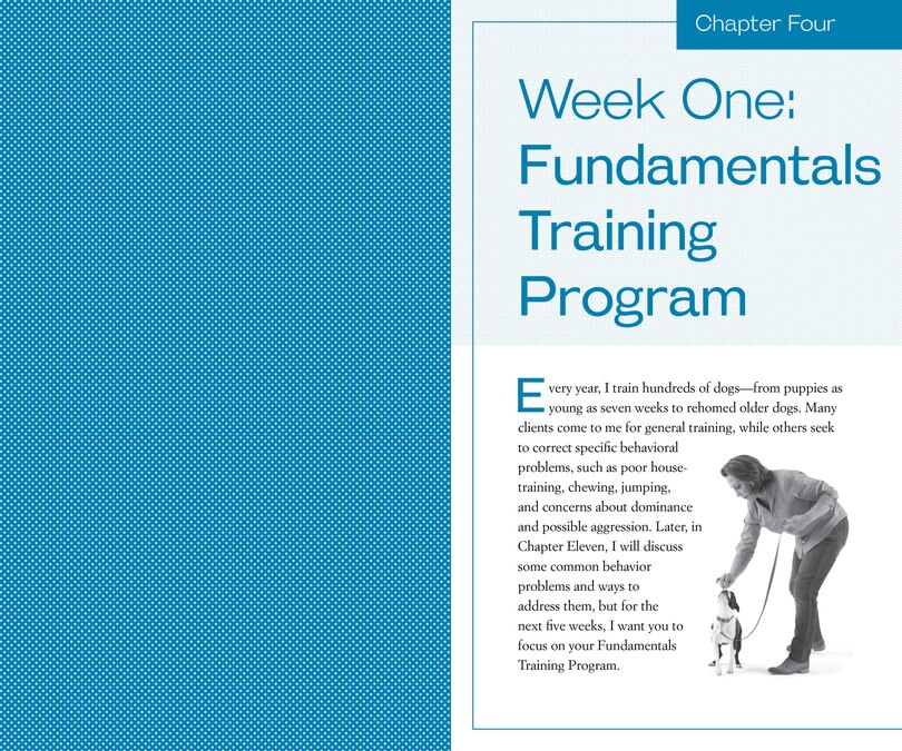 Sample content 3_Training the Best Dog Ever