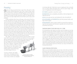 Sample content 4_Training the Best Dog Ever