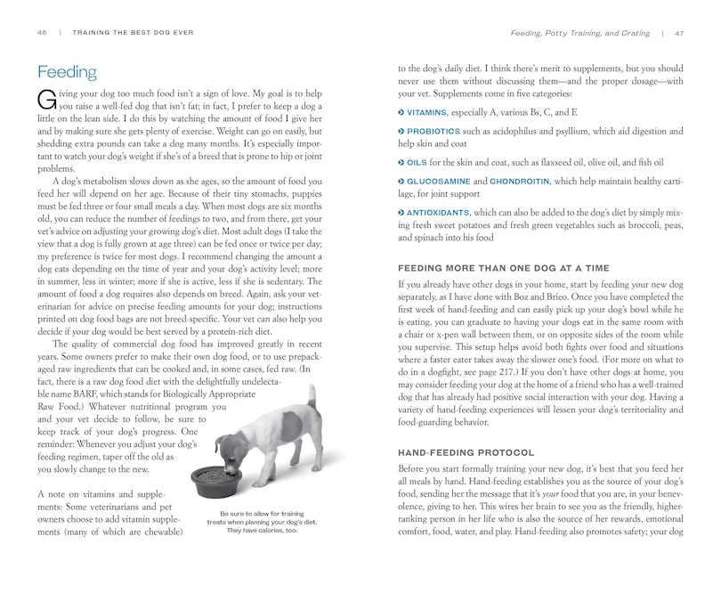 Sample content 4_Training the Best Dog Ever