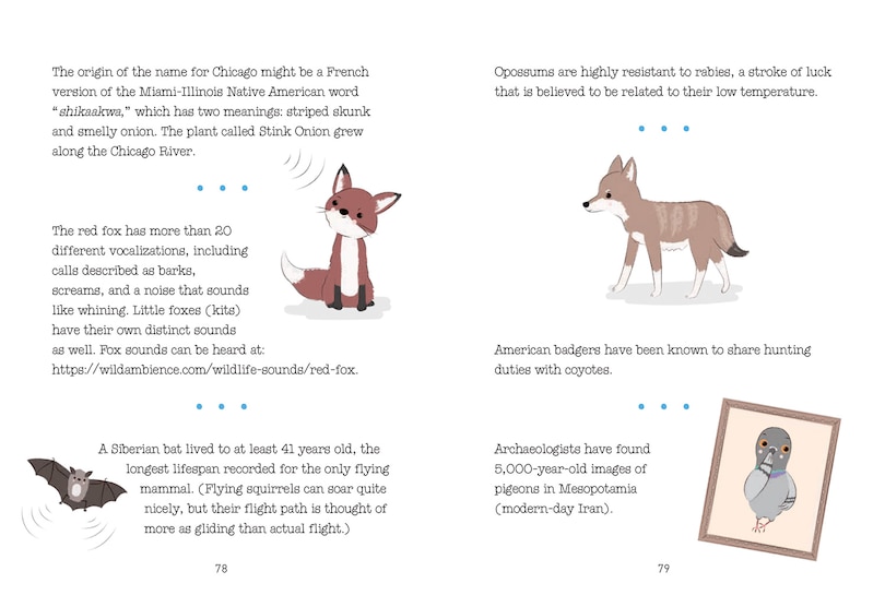 Aper&ccedil;u du contenu 3_Trash Animals