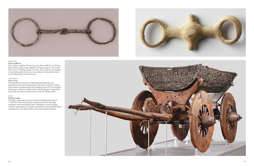 Aper&ccedil;u du contenu 3_Treasures of the Vikings