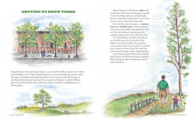 Sample content_The Tree Book for Kids and Their Grown-Ups