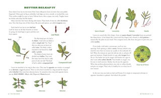 Sample content 2_The Tree Book for Kids and Their Grown-Ups
