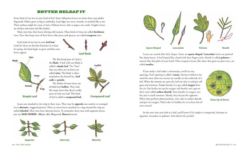 Sample content 2_The Tree Book for Kids and Their Grown-Ups