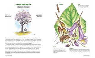 Sample content 4_The Tree Book for Kids and Their Grown-Ups