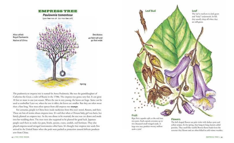 Sample content 4_The Tree Book for Kids and Their Grown-Ups