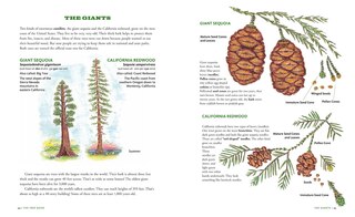 Sample content 5_The Tree Book for Kids and Their Grown-Ups