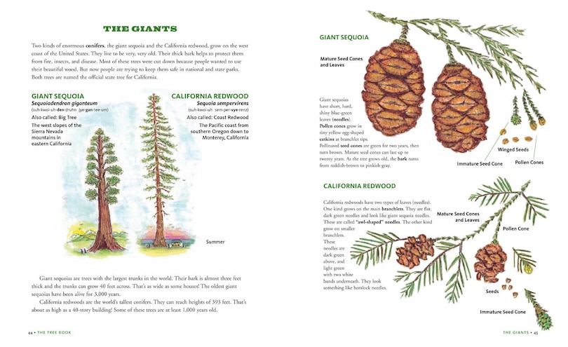 Sample content 5_The Tree Book for Kids and Their Grown-Ups