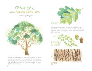 Sample content_Trees of the Pacific Northwest