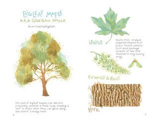 Sample content 2_Trees of the Pacific Northwest