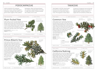 Sample content 2_Trees