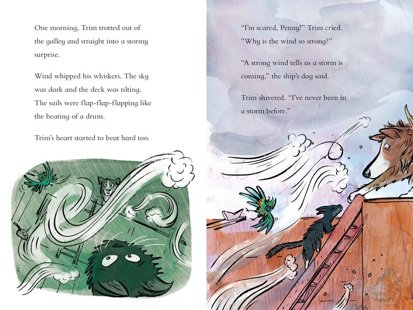 Sample content_Trim Sails the Storm