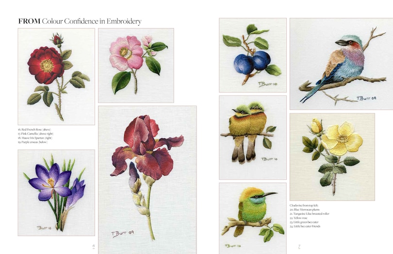 Aper&ccedil;u du contenu 4_Trish Burr's Embroidery Transfers