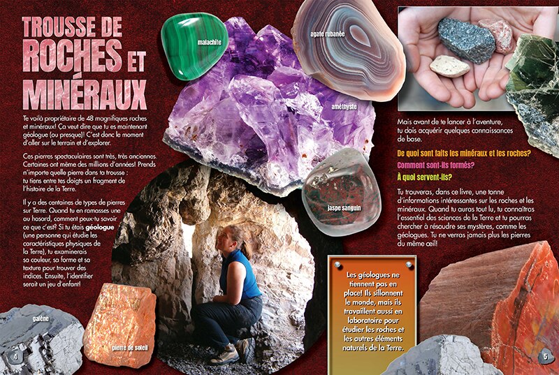 Aper&ccedil;u du contenu_Trousse de roches et min&eacute;raux