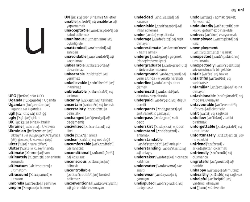 Aper&ccedil;u du contenu_Turkish Essential Dictionary