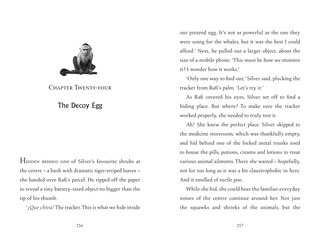 Sample content 3_Turtle Moon