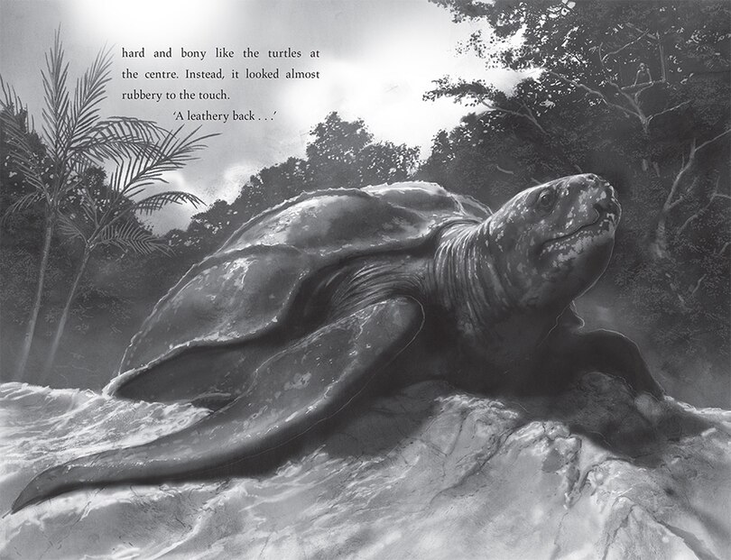 Sample content 4_Turtle Moon