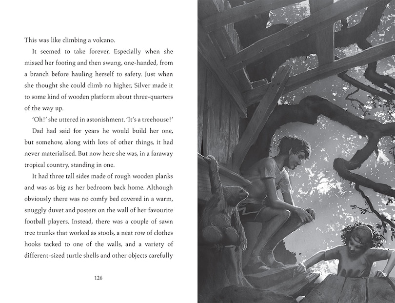 Sample content 2_Turtle Moon