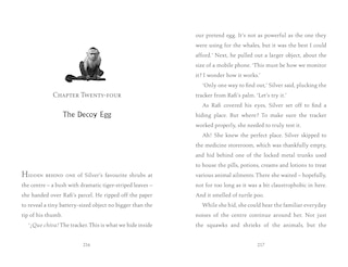 Sample content 3_Turtle Moon