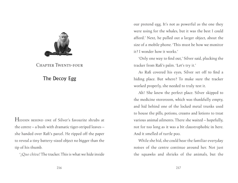 Sample content 3_Turtle Moon