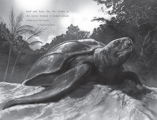 Sample content 4_Turtle Moon