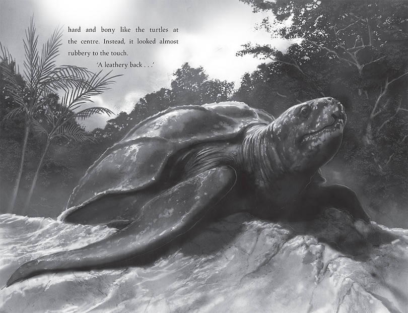 Sample content 4_Turtle Moon