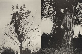 Aper&ccedil;u du contenu 2_Typologien: Photography in 20th-Century Germany