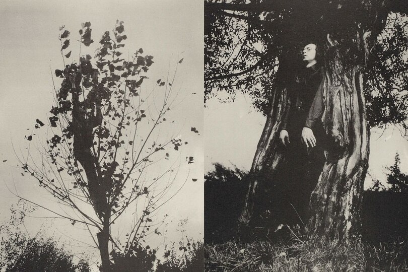 Aper&ccedil;u du contenu 2_Typologien: Photography in 20th-Century Germany